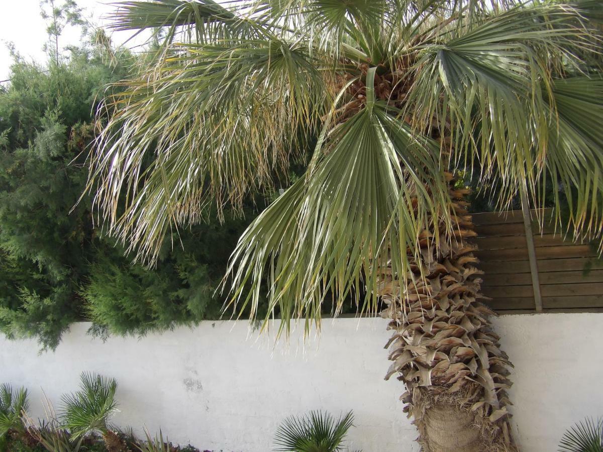 Teo 3 Gouves Exterior foto